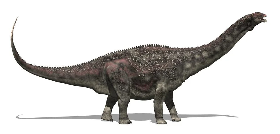 Diamantinasaurus Dinosaur Stock Illustration