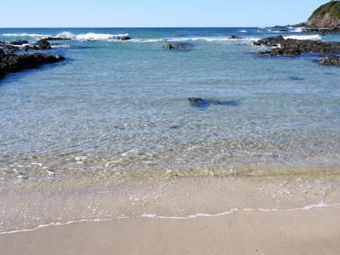 Diamond Beach rock pool Stock Photos