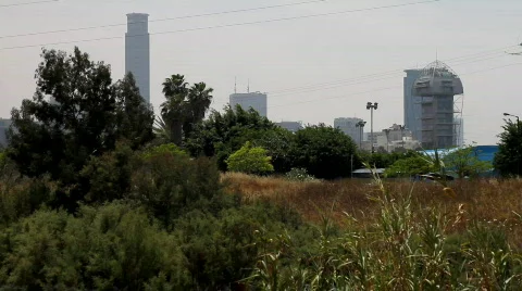 Diamond bourse Video stock 724079