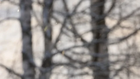 Diamond dust is falling in front of bare trees Stock Footage 87506137