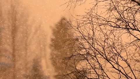 Diamond dust falling from the winter sky at sunset Stock Footage 87507849