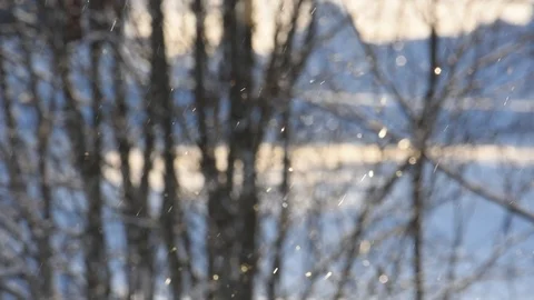 Diamond dust is shimmering in front of bare trees Stock Footage 87505561
