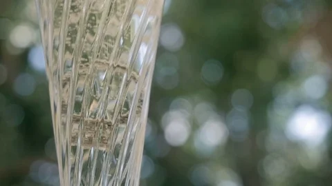 Diamond Engagement Ring Drops into Champagne Flute Stock Footage 76204312