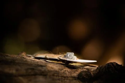 Diamond engagement ring Foto stock