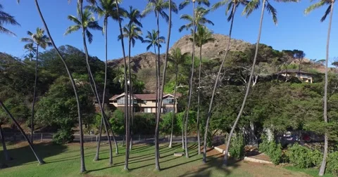 Diamond Head, Lighthouse, Honolulu, Oahu, Hawaii Stock Footage 48585147