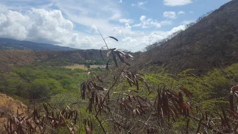 Diamond Head Panoramic View  Stock Photos