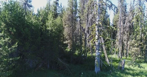 Diamond Lake, Oregon Stock Footage 126669360