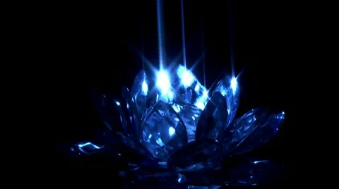Diamond Lily. spinning Stock Footage 10689207