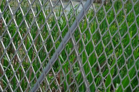 Diamond pattern expanded metal mesh fence in front of green reeds and water Stock Photos