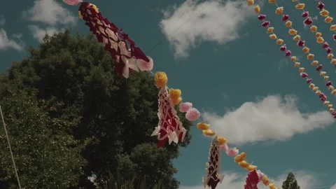 Diamond Pattern Streamers and Paper Flowers Above Tree at Festival Stock Footage 340225263