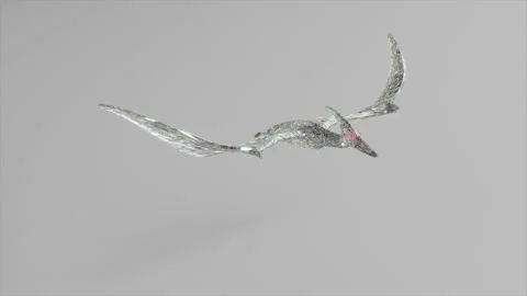 Diamond pterodactyl flying. The concept of nature and animals. Low poly. White Stock Footage 171127333