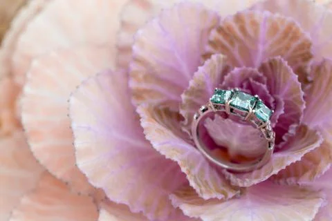 Diamond Ring Stock Photos