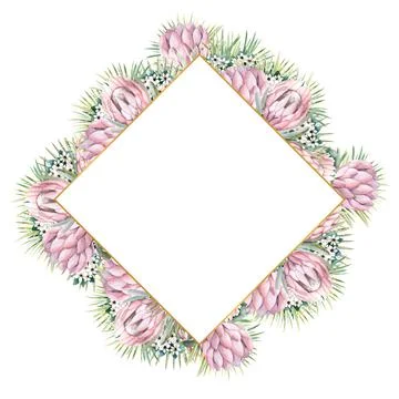 Diamond-shaped gold frame with protea flowers, tropical leaves, palm leaves Stock-Illustration
