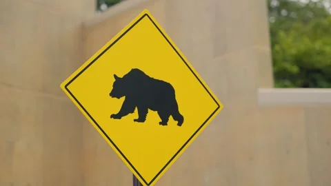 Diamond shaped yellow sign warning and marking presence of bears in area or zone Stock Footage 320676495