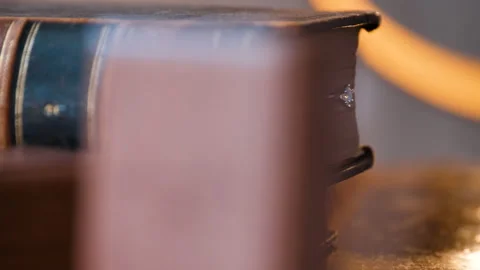 Diamond Wedding Ring Between The Pages Of A Book. Stock Footage 198348527