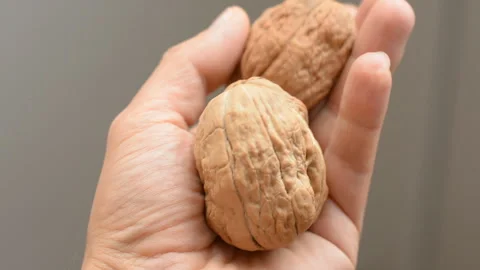 DianaMakeup 11 Stock Footage 95628922