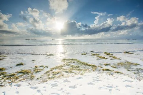 Diani beach in Kenya. Beautiful view of the ocean. Stock Photos