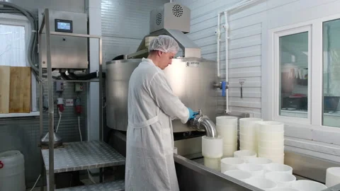 Diary Cheese Factory: Operator checking the cheese molds Vidéo 180091904