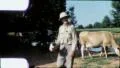 DIARY FARMER Portrait Herd Milk Cows 1970 (Vintage Film Home Movie Amateur) 5712 HD Footage
