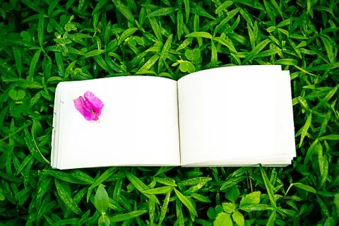 Diary on the grass Stock Photos