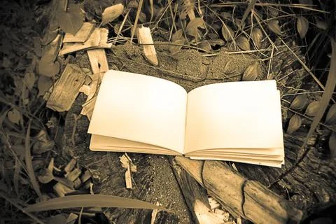 Diary on the grass Stock Photos