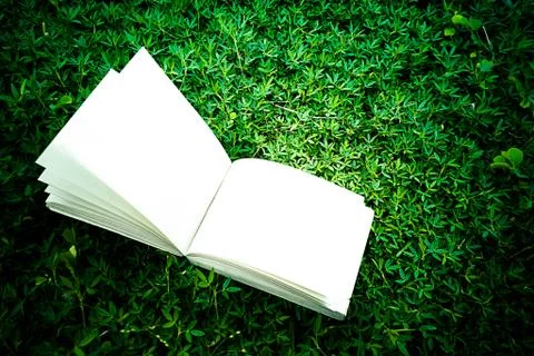 Diary on the grass Stock Photos