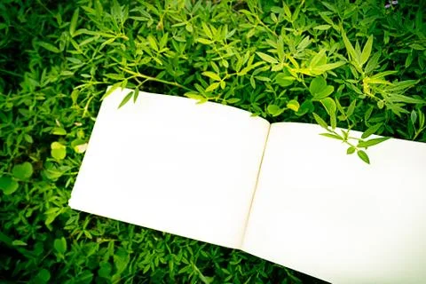 Diary on the grass Stock Photos