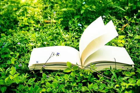 Diary on the grass Foto stock