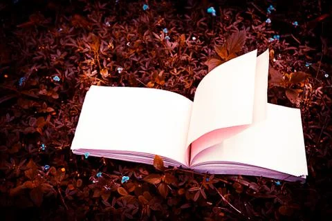 Diary on the grass Foto stock