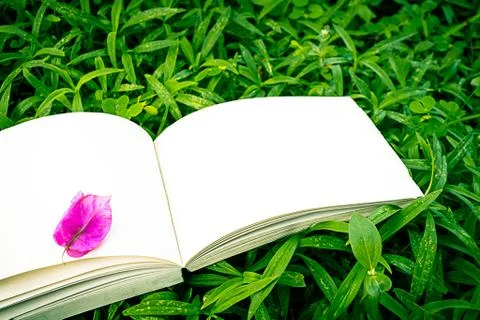 Diary on the grass Foto stock