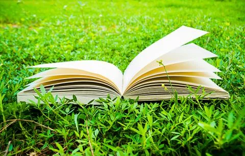 Diary on the grass Stock Photos