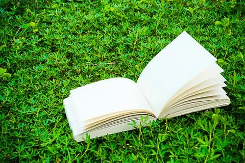 Diary on the grass Stock Photos