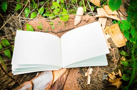 Diary on the grass Stock Photos