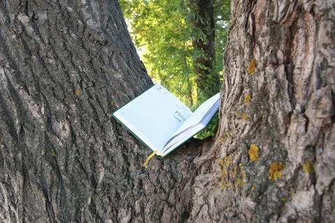 Diary lying on the tree Stock Photos