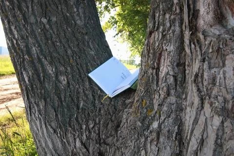 Diary lying on the tree Stock Photos