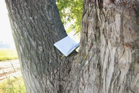 Diary lying on the tree Stock Photos