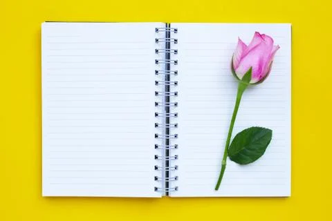 Diary notebook with rose on yellow background. Stock Photos