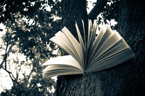 Diary on tree Foto stock