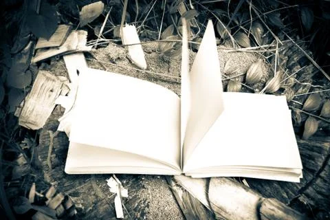 Diary on tree Foto stock