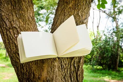 Diary on tree Stock Photos