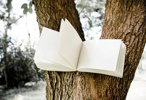 Diary on tree Stock Photos