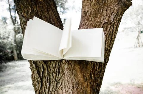 Diary on tree Stock Photos