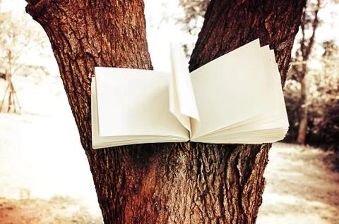 Diary on tree Stock Photos