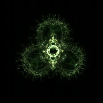 Diatom Stock Footage 864536