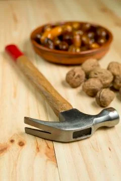 Dice and nuts on a background of pine wood. Stock Photos