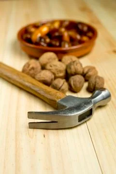 Dice and nuts on a background of pine wood. Stock Photos
