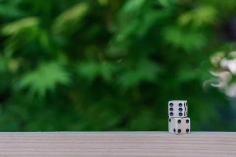 Dice on the background of green bushes. Stock Photos