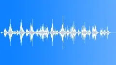 Dice shake in cup many 01Sound Effect