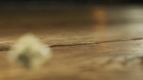 Dice in slow motion Stock Footage 132286564