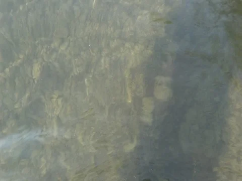 Dice snake diving in a river in austria, natrix tessellata Stock-Footage 126965204